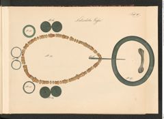 Seite 13 des Tafelbandes "Abbildungen über die aufgefundenen Altertums=Gegenstände […] zu Hallstatt […] 1846 bis einschlüßig 1849", Signatur 3.185 c